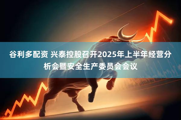 谷利多配资 兴泰控股召开2025年上半年经营分析会暨安全生产委员会会议