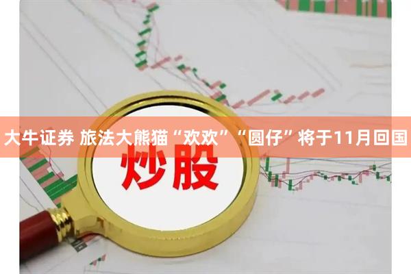 大牛证券 旅法大熊猫“欢欢”“圆仔”将于11月回国