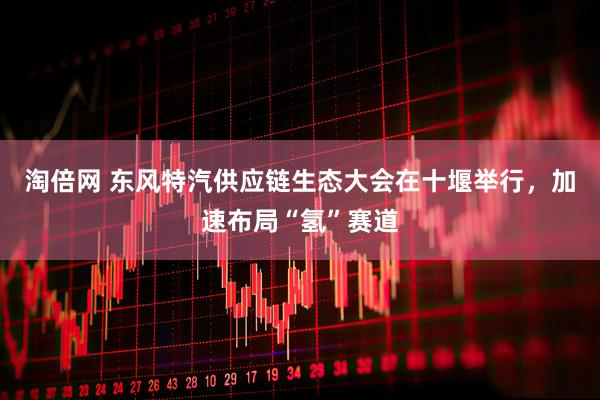 淘倍网 东风特汽供应链生态大会在十堰举行，加速布局“氢”赛道