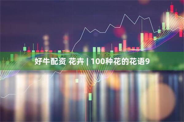 好牛配资 花卉 | 100种花的花语9