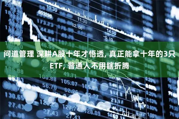 问道管理 深耕A股十年才悟透, 真正能拿十年的3只ETF, 普通人不用瞎折腾