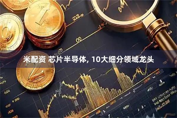 米配资 芯片半导体, 10大细分领域龙头